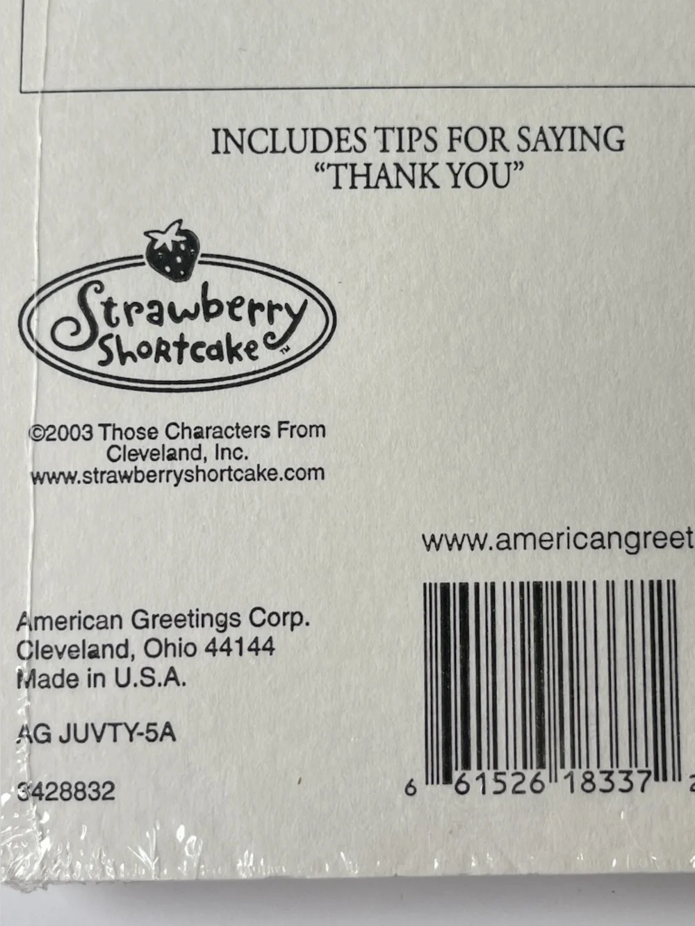 Strawberry Shortcake Party Invitations 10 Invitations & Thank You Notes 4 Packs